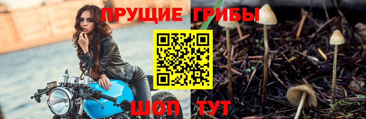 Уссурийск  Галлюциногенные грибы MAGIC MUSHROOMS  Галлюциногенные грибы мицелий  Вход с VPN 